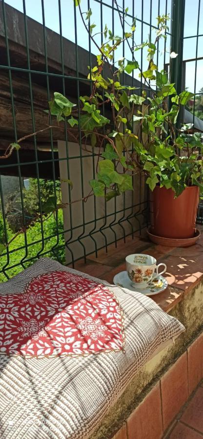 Casa Ernesto-Amica Dei Ciclisti Villa Acquasparta Bagian luar foto